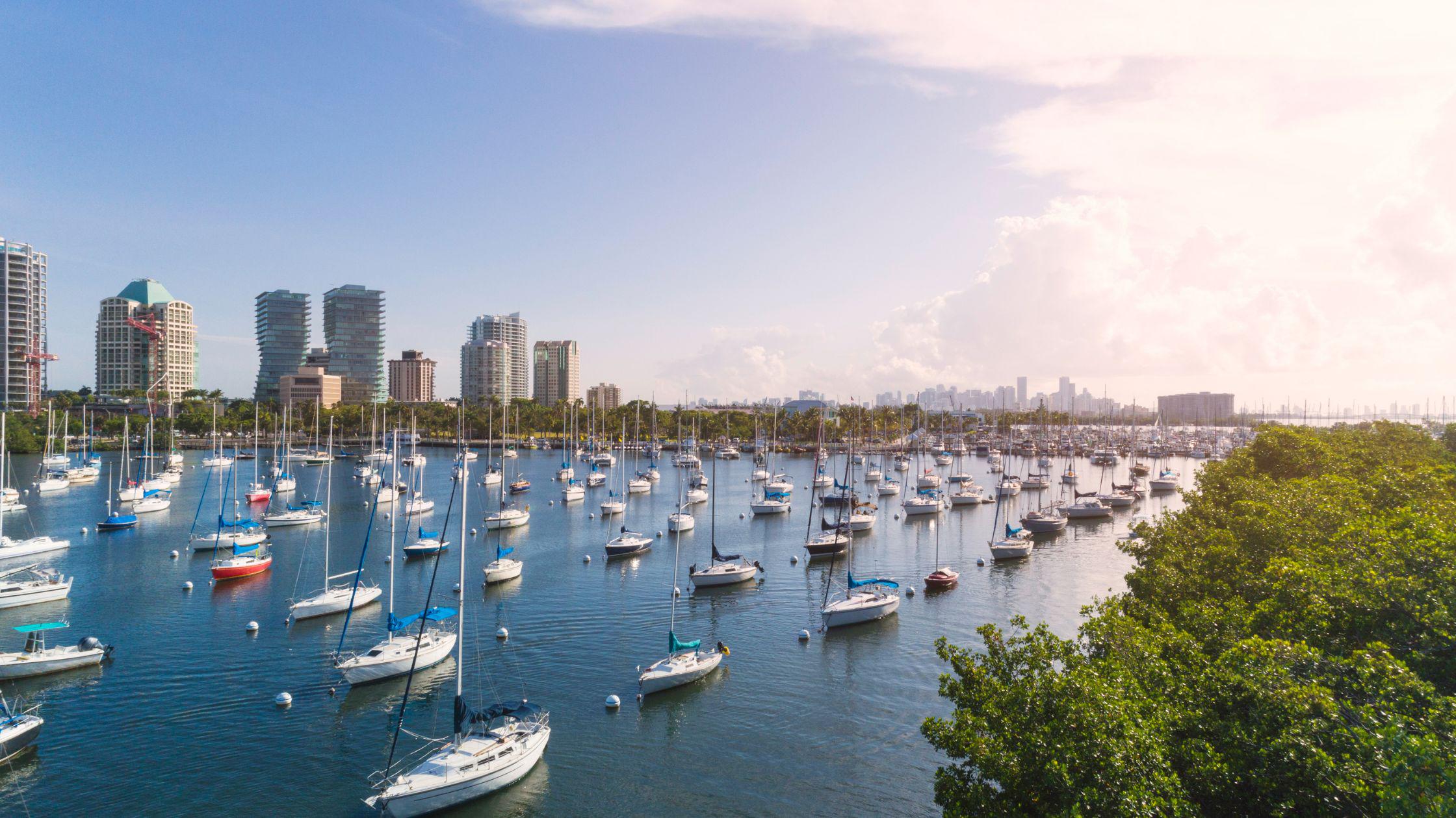 Coconut Grove Bay in the Coconut Grove