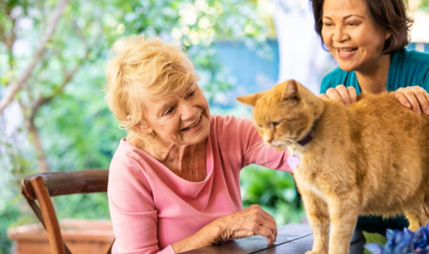 woman smiling and petting orange cat